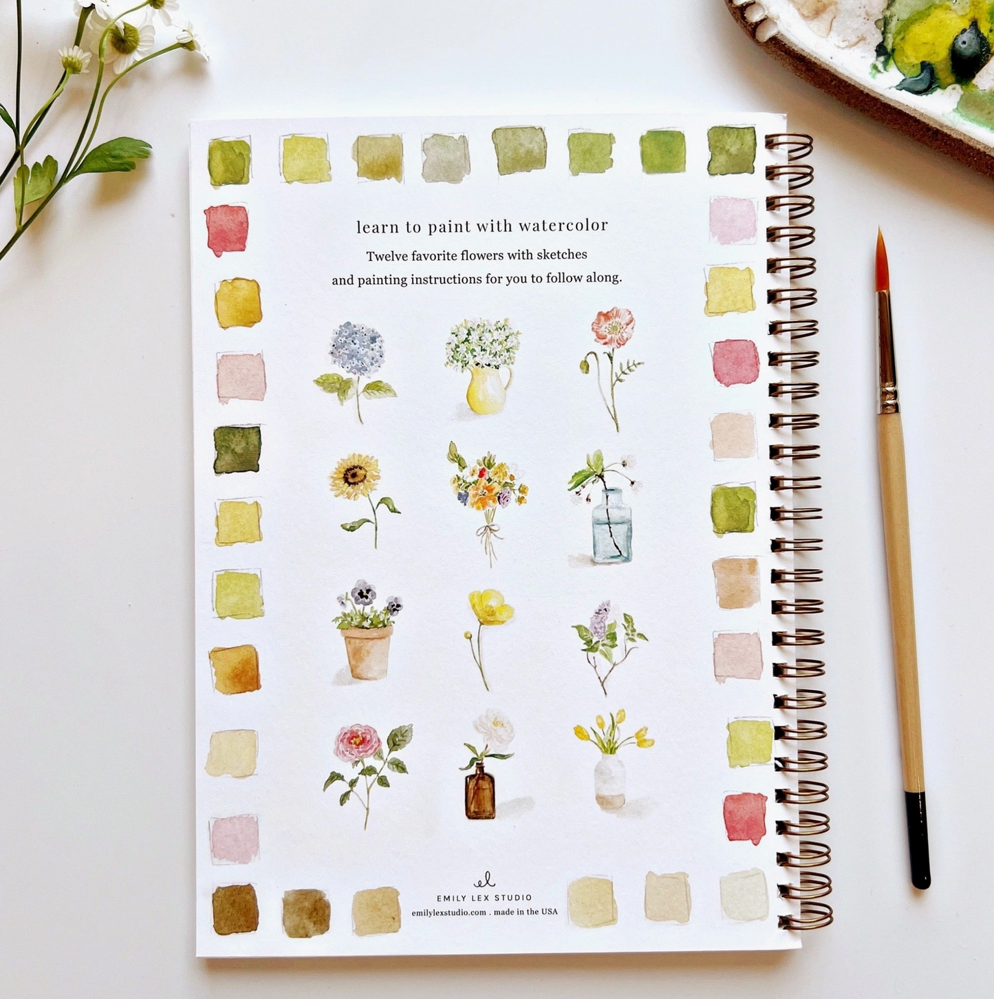 Watercolor Workbook