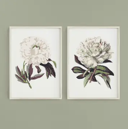 Paint-By-Numbers Kit