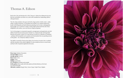 Dahlias, Harcover Book