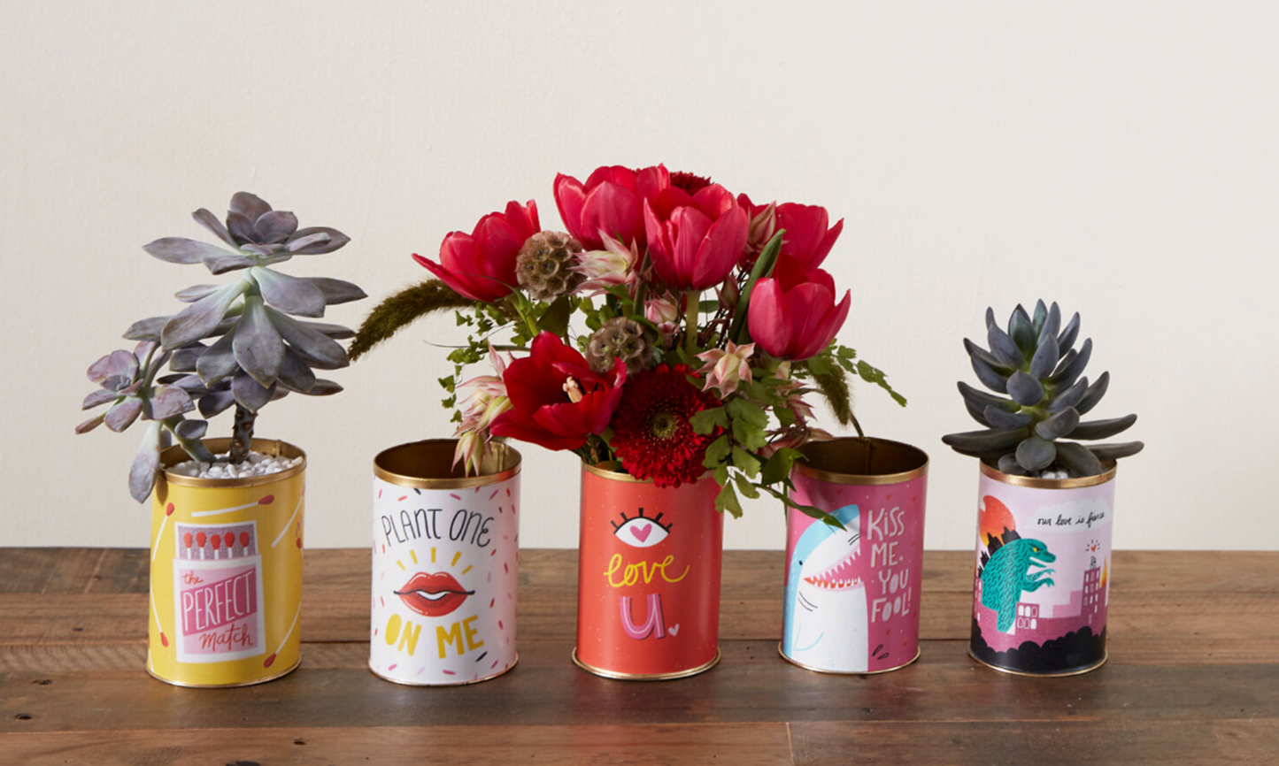 Sweetheart Tins: Succulents & Blooms