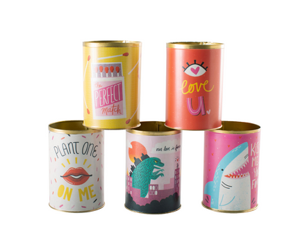 Sweetheart Tins: Succulents & Blooms