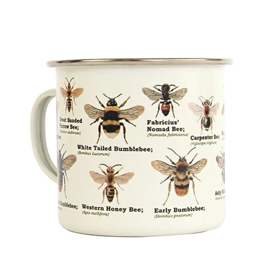Enamel Mugs