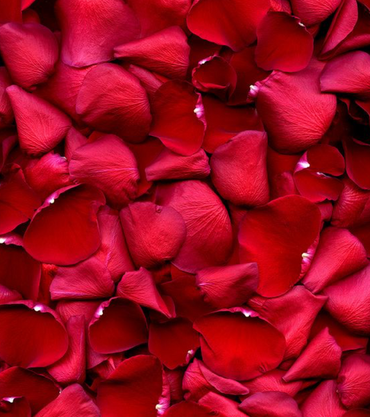 Rose Petals