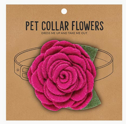 Pet Collar Flowers