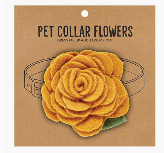 Pet Collar Flowers