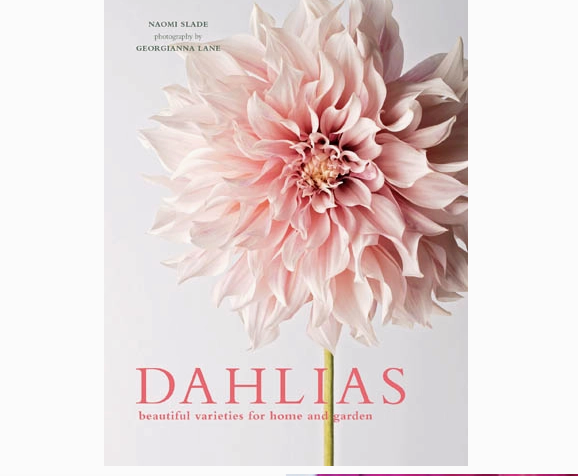 Dahlias, Harcover Book
